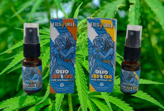 Olio CBD e CBG