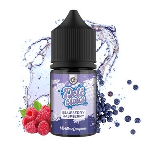 Blueberry Sour Raspberry - Delicious Dypstore